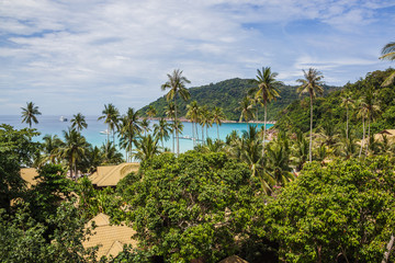 Paradise seaside of malaysian Redang island with magnificent tropical vegetation in sunny day, view...