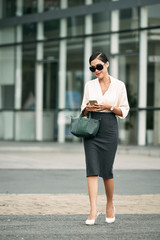 Obraz premium Elegant business lady