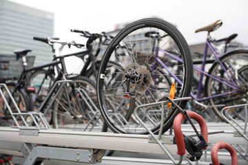 Obraz premium Many bicycles on parking