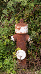 Hydrant