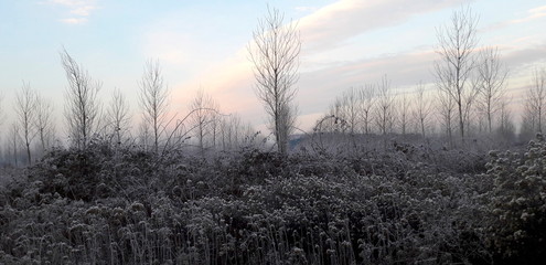 Inverno - natura