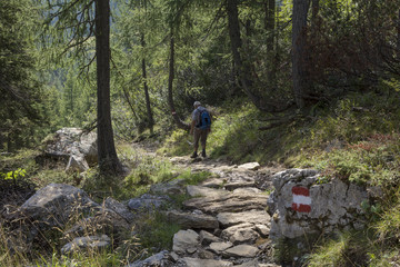 Fototapeta premium Landschaft in Kärnten