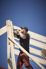 Ecological timber work