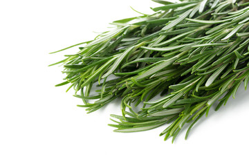 rosemary isolated on white