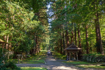 平泉寺白山神社　参道風景