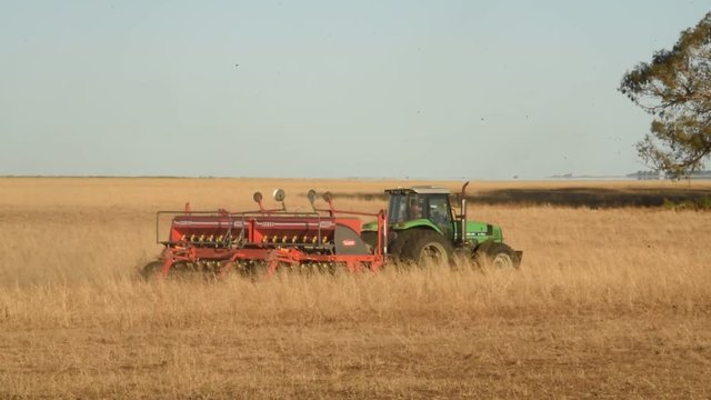 Siembra de Maiz en la provincia de Buenos Aires, Argentina