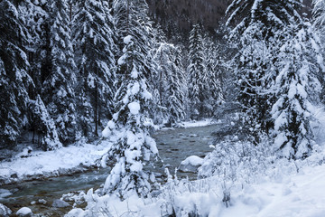 Winterlandschaft in Slowenien
