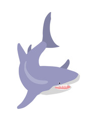 Great White Shark Cartoon Flat Vector Illustration