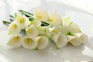 Fototapeta na wymiar arum lily on white