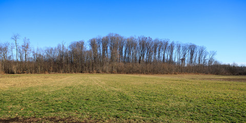 campi nel parco del Lura - Guanzate (Como)
