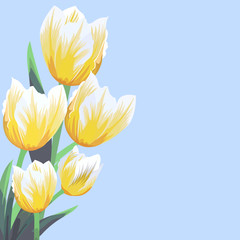Yellow tulips on background blue sky. Vector illustration.