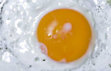 Close up view of Fried egg, top view.