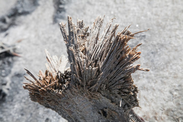 Chokrak solt lake in autumn