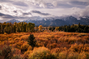 Mountain with Clouds and Autumn Foliage 