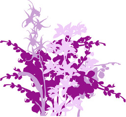 Obraz na płótnie Canvas silhouette of pink and purple orchid bunch