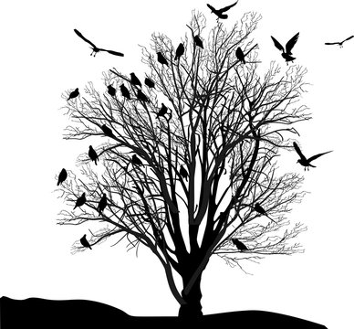 birds and tree in late autumn isolated on white
