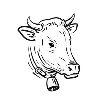 Cow With Bell, Sketch. Farm Animal, Vector Illustration