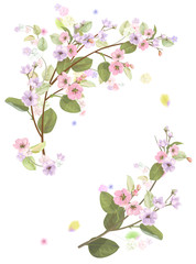 Obraz na płótnie Canvas Spring blossom (bloom), branches with mauve, pink apple tree flowers. Bouquet light floret, buds, green leaves on white background. Digital draw, close-up in watercolor style, vintage, vector