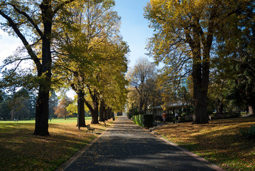 Road in Fitzroy Gardens in Melbourne