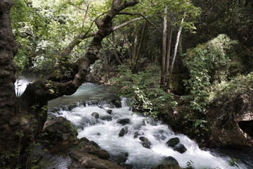 Israel-Jordan-Banias-Quellen