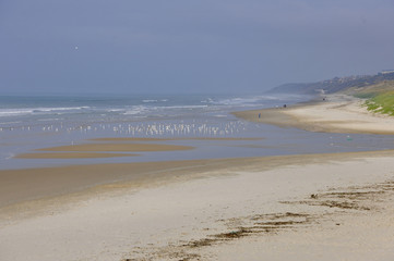 paysage marin