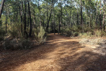 National park Vale do Guadiana in portugal