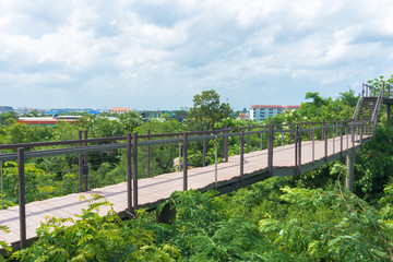 wooden path floor walkway at the garden.