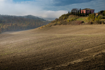 Autumnal trekking in the province of Siena, from Buonconvento to Monte Oliveto Maggiore Abbey