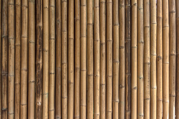 Close Up Detail of Bamboo texture and  pattern.