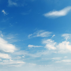 Naklejka na ściany i meble light clouds in the blue sky