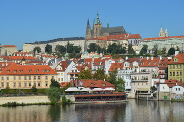 Naklejka na ściany i meble Prague - St. Vitus Cathedral