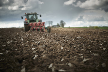 Fototapeta premium A manure spreader 
