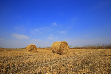 Dry straw under the blue sky