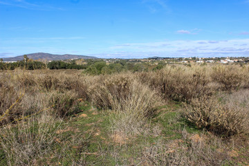 national park Ria Formosa, Algarve, Portugal