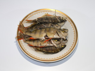 Boiled perch on a plate on a white background.