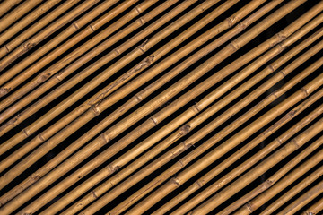 Close Up Detail of Bamboo texture and  pattern.