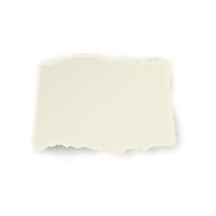 Obraz premium Vector set of torn paper set. Different square shape of blank scraps. Notebook sheets with ripped edges for your design. Realistic isolated illustration on a white background.