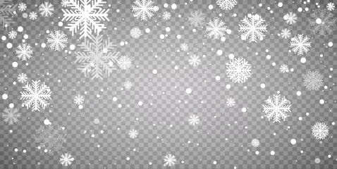 Fotobehang Stock vector illustration falling snow. Snowflakes, snowfall. Transparent background. Fall of snow. © exvanesko