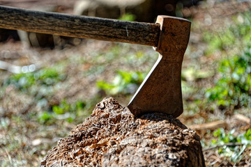 old rusty axe stuck in a trunk