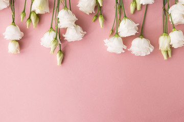 White flowers on pink background