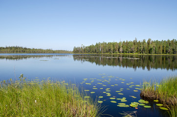 Obraz premium Lake Leshchevo in Karelia