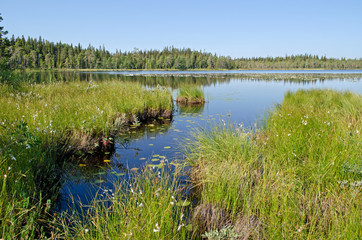 Lake Leshchevo in Karelia