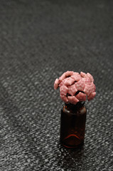 Hoya Carnosa (Wax flower)