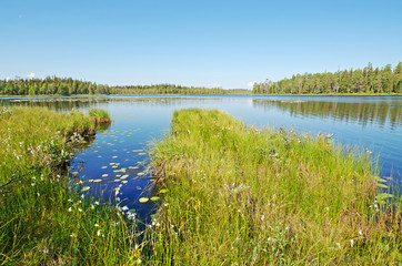 Lake Leshchevo in Karelia