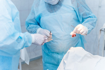 Fototapeta premium the hands of surgeons physicians doing surgery to the patient in the clinic, the concept of photo medicine, professional doctors, anesthesia