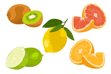Zitrusfrüchte SET