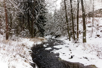 Winter forest river in Czech republic