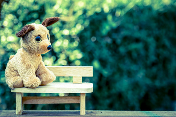 dog doll on wooden bench with dramatic tone