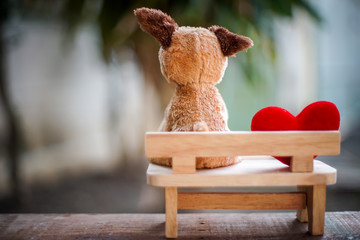 dog doll and red heart on wooden bench with dramatic tone
