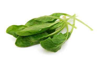 Fresh leaves of spinach